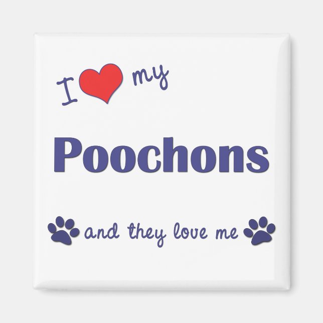 I Kärlek My Poochons (Många Hundar) Magnet (Framsidan)