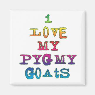 I Kärlek My Pygmy Goats Magnet