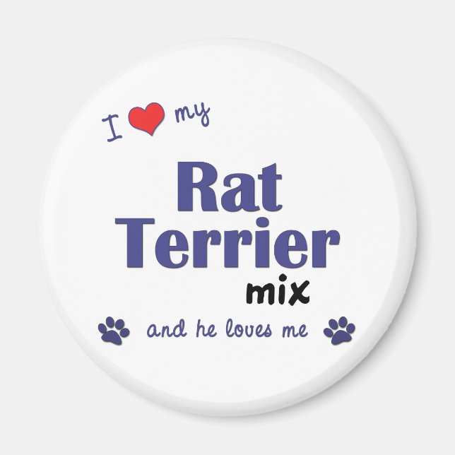 I Kärlek My Råtta Terrier Mix (Male Hund) Magnet (Framsidan)