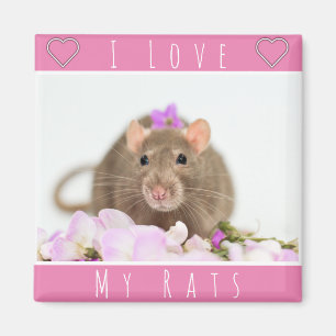 I Kärlek My Råttor Magnet