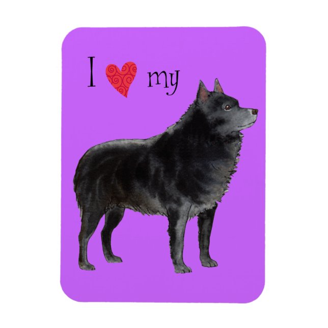 I Kärlek my Schipperke Magnet (Vertikal)