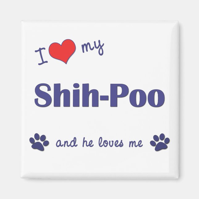 I Kärlek My Shih-Poo (Manlig Hund) Magnet (Framsidan)
