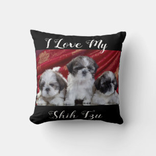 I Kärlek My Shih Tzu Kudde