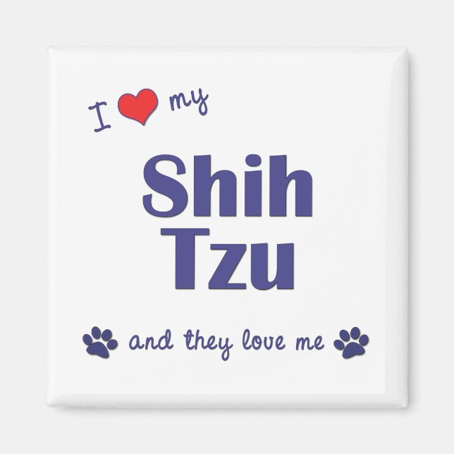 I Kärlek My Shih Tzu (Många Hundar) Magnet (Framsidan)