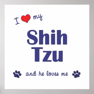 I Kärlek My Shih Tzu (Manlig Hund) Poster