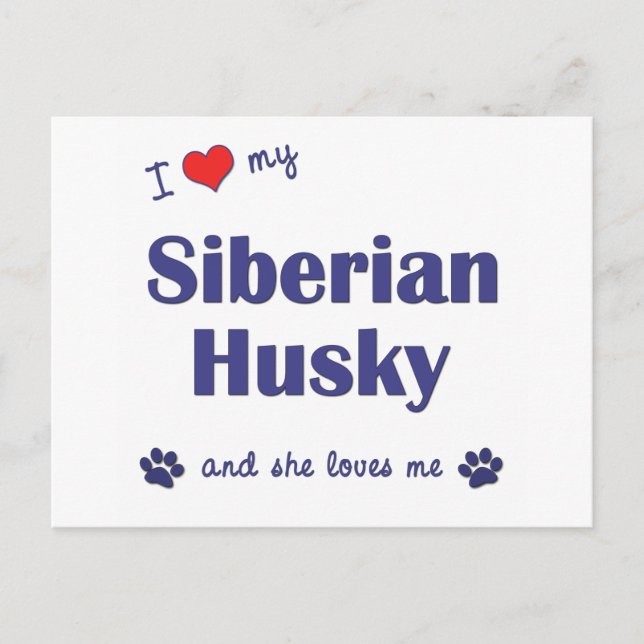 I Kärlek My Siberian husky (kvinnlig Hund) Vykort (Framsida)