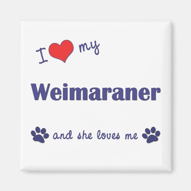 I Kärlek My Weimaraner (kvinnlig Hund) Magnet (Framsidan)
