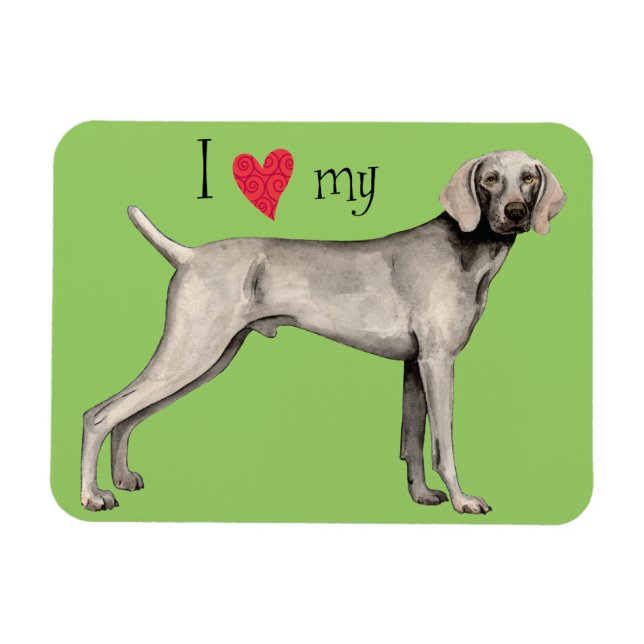 I Kärlek my Weimaraner Magnet (Horisontell)