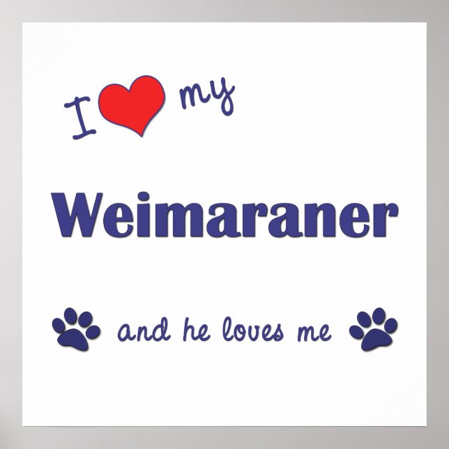 I Kärlek My Weimaraner (Male Hund) Poster (Framsidan)