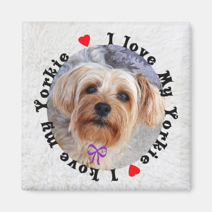 I Kärlek My Yorkie Magnet