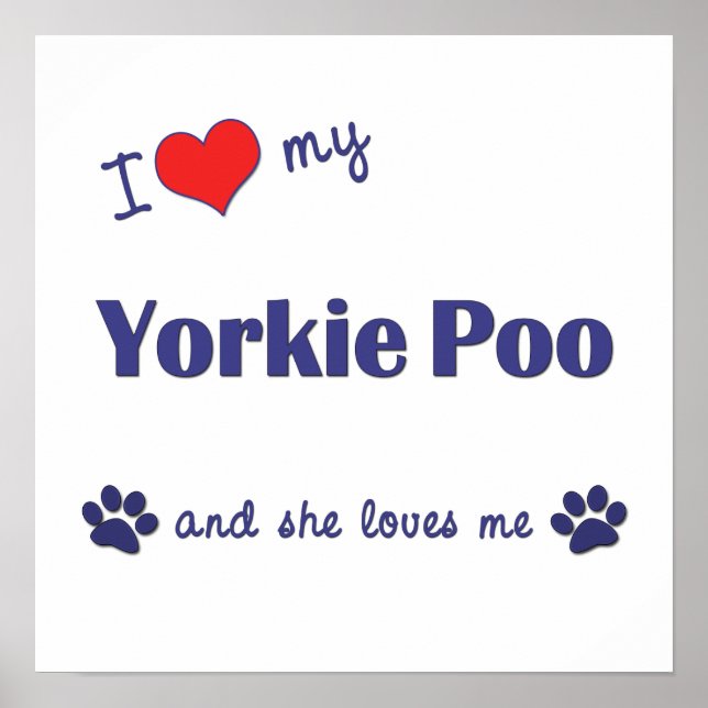 I Kärlek My Yorkie Poo (kvinnlig Hund) Poster (Framsidan)