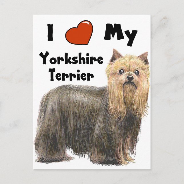 I Kärlek My Yorkie Vykort (Framsida)