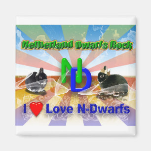 I kärlek Nederländerna Dwarf Bunnies Magnet
