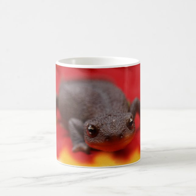 I Kärlek Newts Kaffemugg (Center)