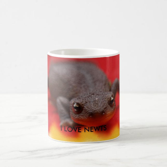 I Kärlek Newts Kaffemugg (Center)
