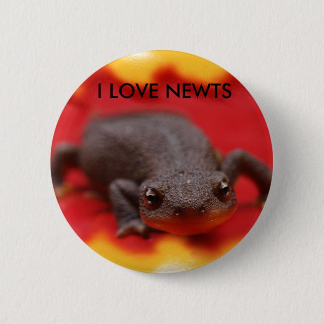 I Kärlek Newts Knapp (Framsida)