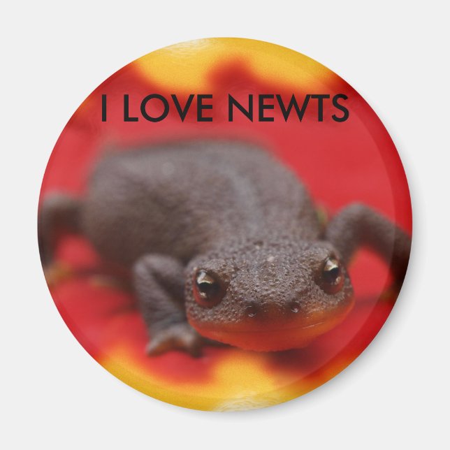 I Kärlek Newts Magnet (Framsidan)