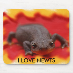 I Kärlek Newts Musmatta