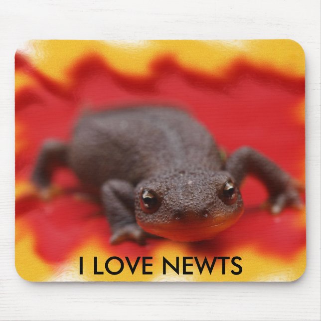 I Kärlek Newts Musmatta (Framsidan)