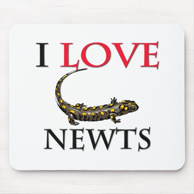 I Kärlek Newts Musmatta (Framsidan)