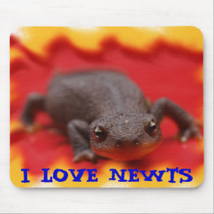 I Kärlek Newts Musmatta