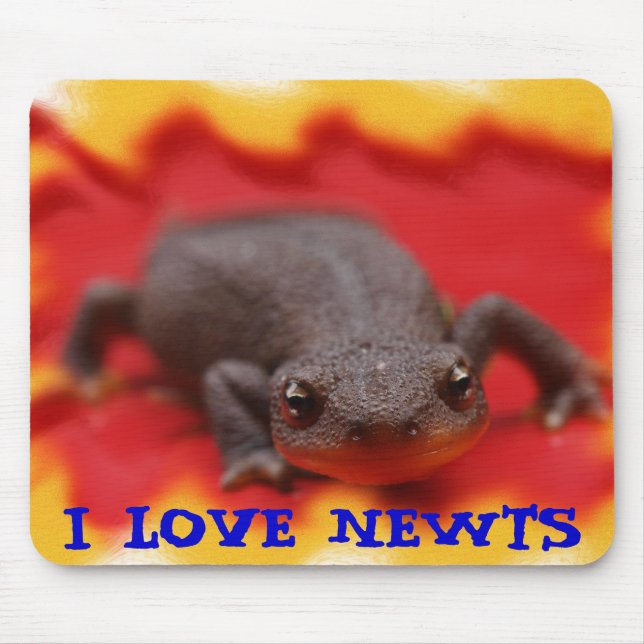 I Kärlek Newts Musmatta (Framsidan)