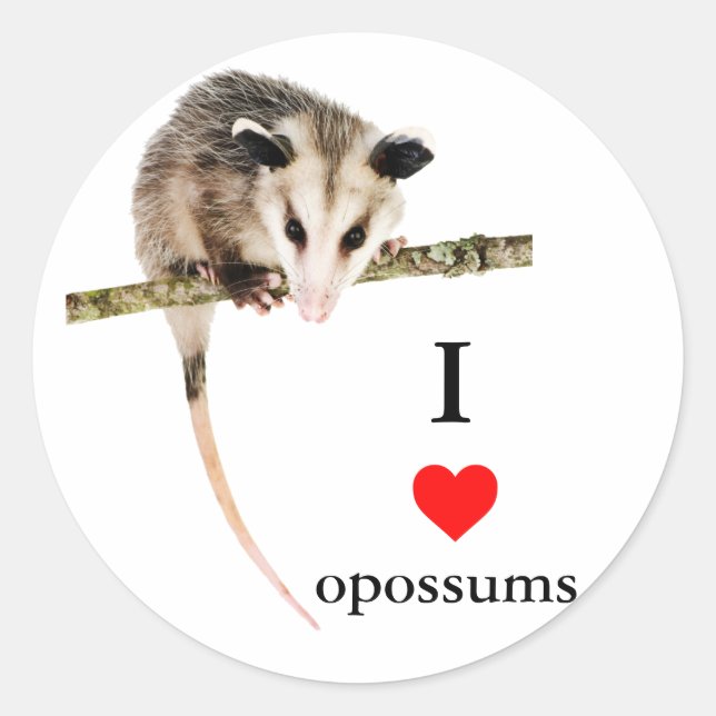 I Kärlek Opossums Sticker Runt Klistermärke (Framsida)