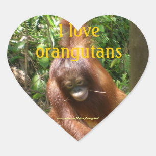 I Kärlek Orangutans Hjärtformat Klistermärke