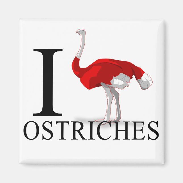 I Kärlek Ostriches Magnet (Framsidan)