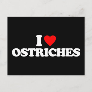 I KÄRLEK OSTRICHES VYKORT