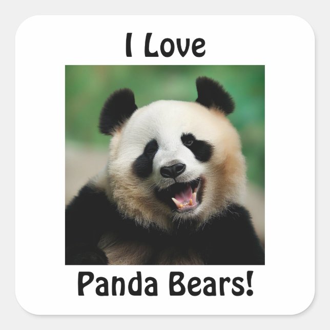 I Kärlek Panda Bears Fyrkantigt Klistermärke (Framsida)