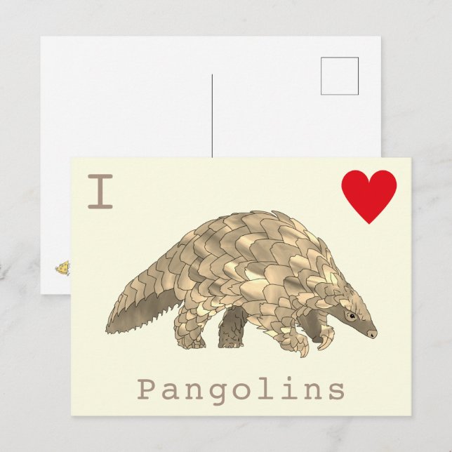 I Kärlek Pangolins sällsynt wildlife slogan Vykort (Fram/baksida)