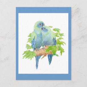 I kärlek Parrots, Tropical Bird Collection Vykort