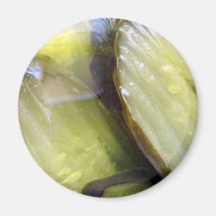 I Kärlek Pickles Magnet