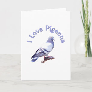 I Kärlek Pigeons Kort