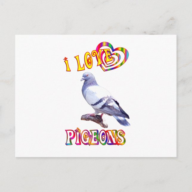 I Kärlek Pigeons Vykort (Framsida)