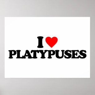 I KÄRLEK PLATYPUSS POSTER