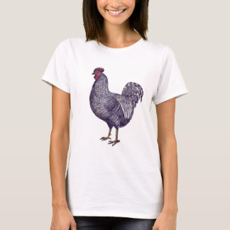 I Kärlek Plymouth Sten Chickens - Vintage Tupp Tee