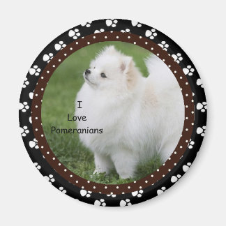 I kärlek Pommern Hund Magnet 2