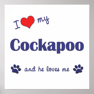 I Kärlek Poster My Cockapoo (Manlig Hund) Skriv ut