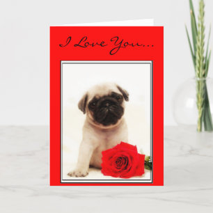 I Kärlek, pug-hälsningskort för valpar Helgkort