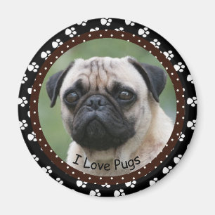 I kärlek Pugs Magnet