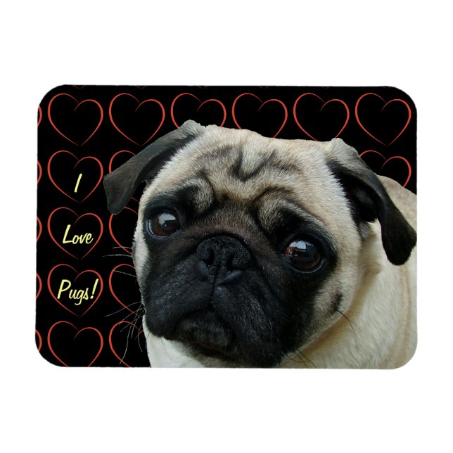 I Kärlek Pugs med Hearters flexibla magnet (Horisontell)