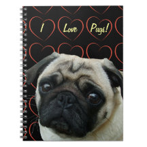 I Kärlek Pugs med Hearts