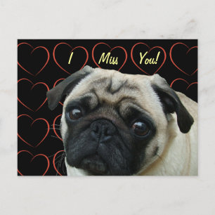 I Kärlek Pugs med Hearts Vykort