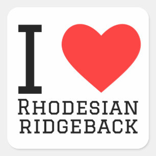 I kärlek Rhodesian ridgeback Fyrkantigt Klistermärke