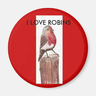 , I KÄRLEK ROBINS Magnet