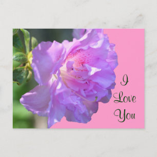 I Kärlek Rosa dig Azalea Flower Fotovykort Vykort