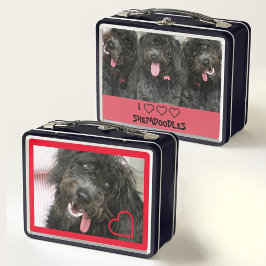 I Kärlek Shepadoodles