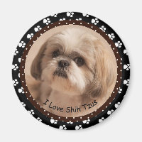 I kärlek Shih Tzus Magnet